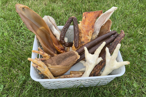 Big Paws Treat Box- 20 piece