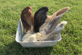 Natural Dewormer Treat box