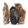 Hairy Cow Ear