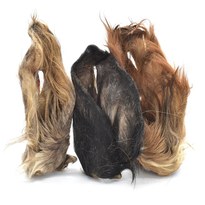 Hairy Cow Ear