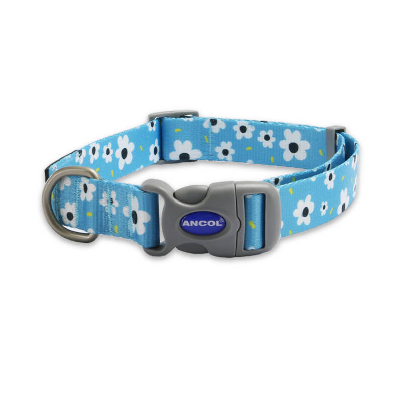 Ancol Soho Collar