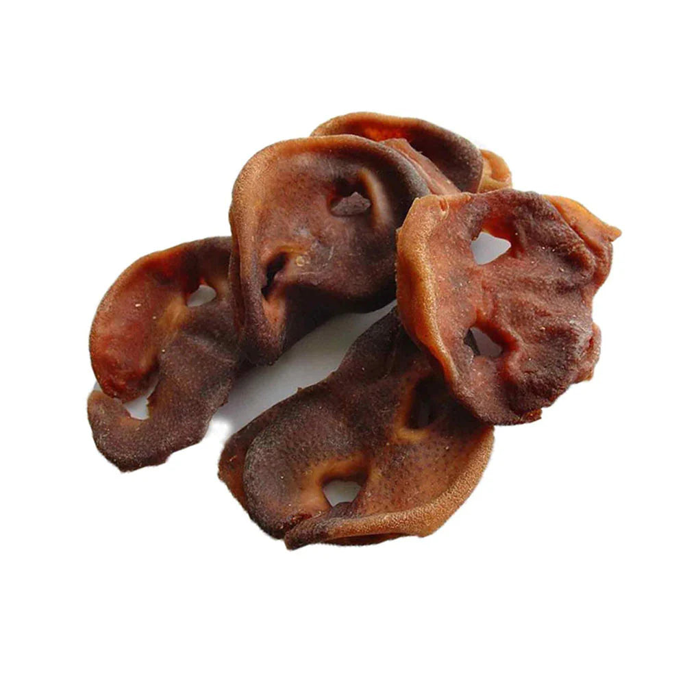 Pig Snout