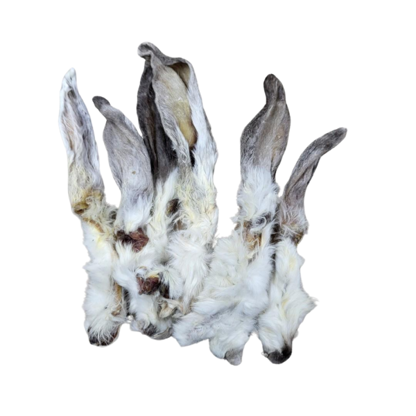 Hairy Rabbit Ears