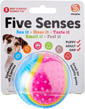 5 Sensors Sensory Ball