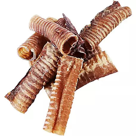 Trachea